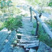 Offutt Island - A three stringer bridge takes you out to Smith Point. The bridge is designed to allow natural flow of water runoff. 
