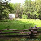 North view looking towards the tobacco barn. The Claude Moore Farm practices a low traditional agriculture.