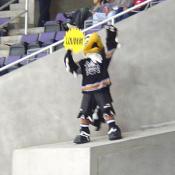 Slap Shot leads the fans in rooting for the Caps.