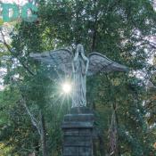 An angel covers its face knowing the darkness will soon cover this park.