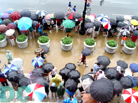 An ariel shot of the umbrellas that lined the streets of DC.