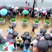 An ariel shot of the umbrellas that lined the streets of DC.