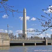 Thursday, March 20, 2008 10:05 am EST, Cherry Blossom View of Washington Monument