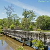 Kenilworth Marsh Interpretive Boardwalk