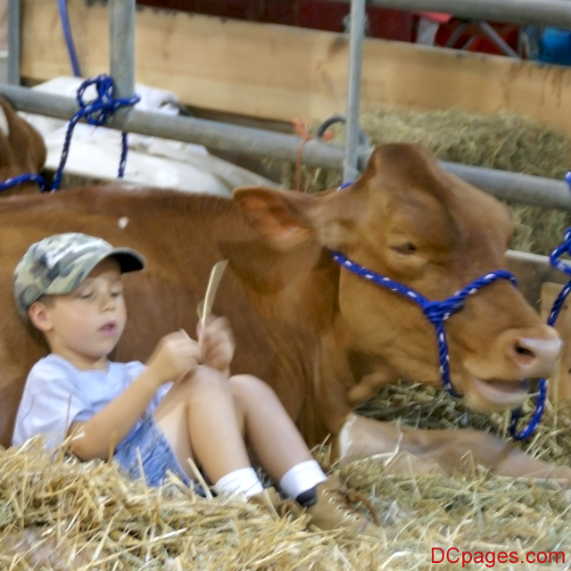 Proud Farmer