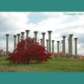 National Capitol Columns