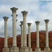 National Capitol Columns