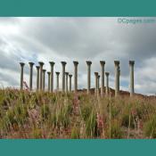 The National Arboretum - Capitol Columns Exhibit