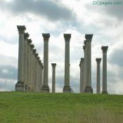 The National Arboretum - Capitol Columns Exhibit