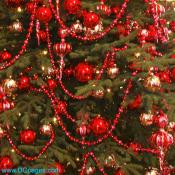 Tue Dec 11 15:42:41 2007