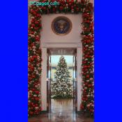 Thu Dec 13 14:50:31 2007