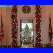 Thu Dec 13 14:50:32 2007