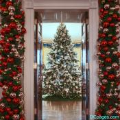 Thu Dec 13 14:50:33 2007