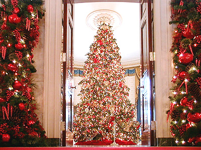 The Blue Room holds the official White House Christmas tree. This year artisans from each state and territory were asked to create ornaments representing birds from locale