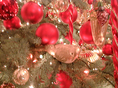 This is an example of one of the many United States native birds represented on the Official White House Christmas tree