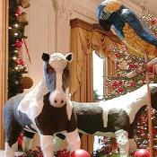 The First Horse Nelson, which George Washington rode during the Revolutionary War