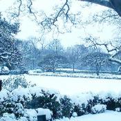 The White House lawns