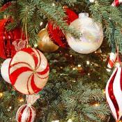 There were an estimated 70,000 tiny white lights used at the holiday event.
