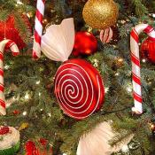 Candy canes hung from all of the 19 christmas trees.