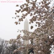 Thursday, April 2, 2009  10:07 AM