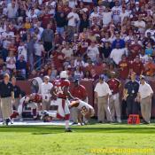82-A.Randle El goes out of bounds at ARI 33
