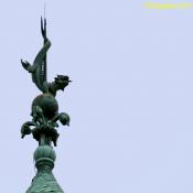 DSC08019