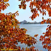 Wed Nov 14 13:07:43 2007