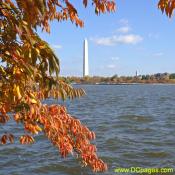 Mon Nov 19 14:14:28 2007