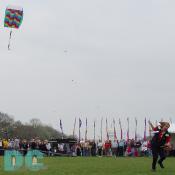 Smithsonian Kite Festival - Kite in the air