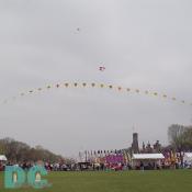 Smithsonian Kite Festival - String of kites