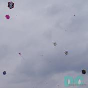 Smithsonian Kite Festival - Kite fighter competition
