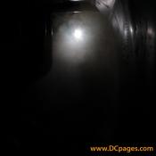 The Haunted Forest is full of creepy sounds, lights, and mysterious movements.