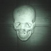 A soul conjured from the netherworld.  