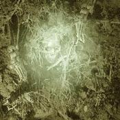 The earth trembled, splitting like a wound, and the dead crawled forth.
