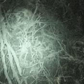 What is left of the dead glaring at what is left of the living. 