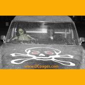 We offer more activities ranging from face painting and fortune telling to hayrides and a zipline (bat flight).