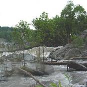 One of the Festival's most dramatic and dazzling events, this downriver race is a quick, adrenaline-packed descent of 60 vertical feet through class 5+ Great Falls. 