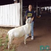 This girl hold her goat.