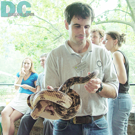 Mr. Henderson was touching his snake tenderly. 