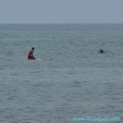 Ocean City - Just north of the Ocean City Inlet has become a popular spot for surfers of all ages.