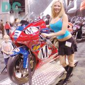 Playboy Magazine's Miss March 2005 Jillian Grace with the Spyderman #3.