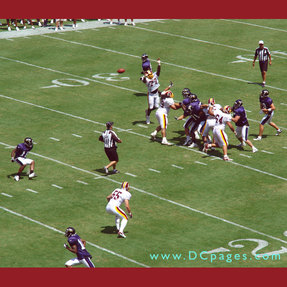 Raven's quarterback throws to open man.