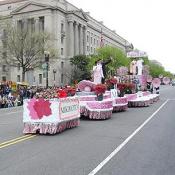 2003 Cherry Blossom Festival: Floats head west on Constitution Avenue.  