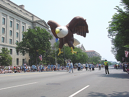 That had to be the biggest Bald Eagle I have ever seen