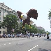That had to be the biggest Bald Eagle I have ever seen