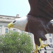 The eagle looks like its smiling