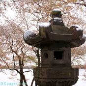 Snow lightly covers the ceremonial Cherry Blossom lantern in the tidal basin.
