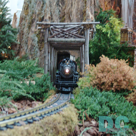 DSC03802