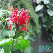 DSC03856