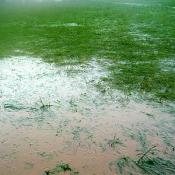 Rain, rain, and more rain created standing water all around the Washington Monument